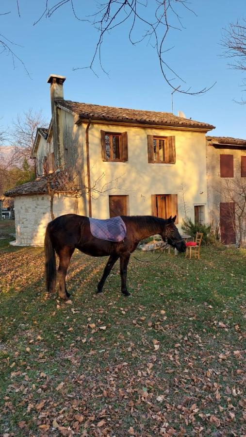 La Caneveta Al Piave Villa Valdobbiadene Ngoại thất bức ảnh