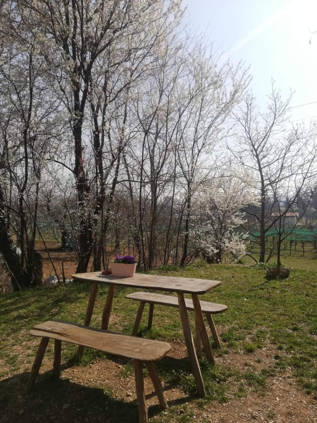 La Caneveta Al Piave Valdobbiadene Ngoại thất bức ảnh